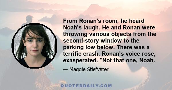 From Ronan's room, he heard Noah's laugh. He and Ronan were throwing various objects from the second-story window to the parking low below. There was a terrific crash. Ronan's voice rose, exasperated. Not that one, Noah.