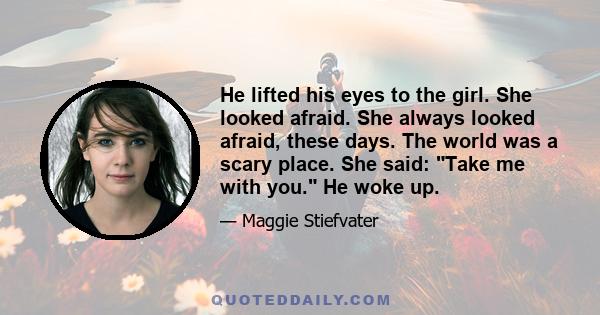 He lifted his eyes to the girl. She looked afraid. She always looked afraid, these days. The world was a scary place. She said: Take me with you. He woke up.