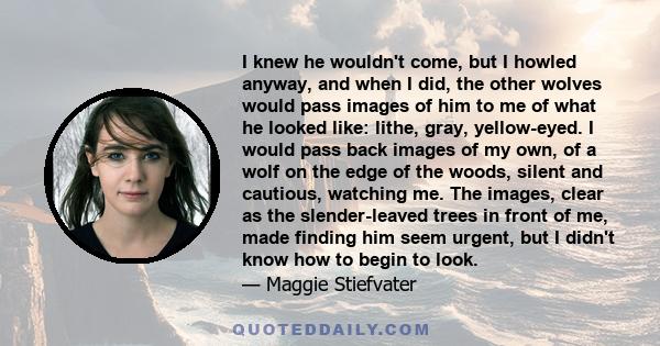 I knew he wouldn't come, but I howled anyway, and when I did, the other wolves would pass images of him to me of what he looked like: lithe, gray, yellow-eyed. I would pass back images of my own, of a wolf on the edge