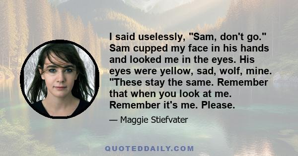 I said uselessly, Sam, don't go. Sam cupped my face in his hands and looked me in the eyes. His eyes were yellow, sad, wolf, mine. These stay the same. Remember that when you look at me. Remember it's me. Please.