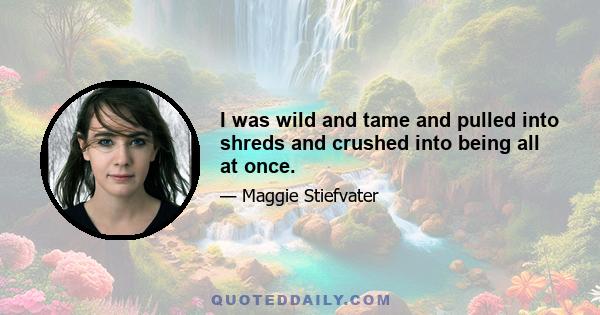 I was wild and tame and pulled into shreds and crushed into being all at once.