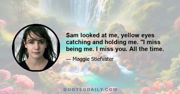 Sam looked at me, yellow eyes catching and holding me. I miss being me. I miss you. All the time.