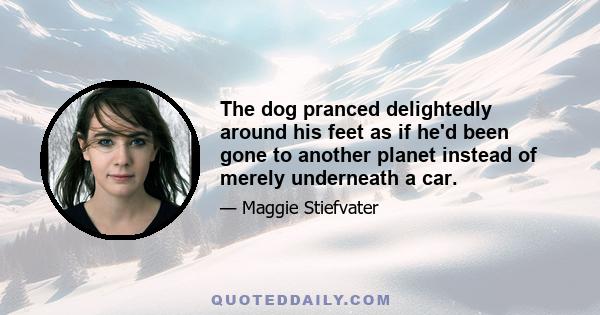 The dog pranced delightedly around his feet as if he'd been gone to another planet instead of merely underneath a car.