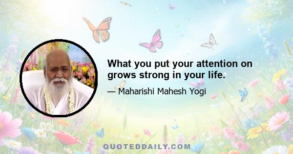 What you put your attention on grows strong in your life.