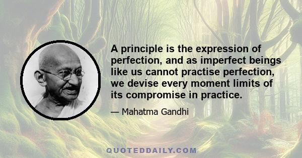 A principle is the expression of perfection, and as imperfect beings like us cannot practise perfection, we devise every moment limits of its compromise in practice.