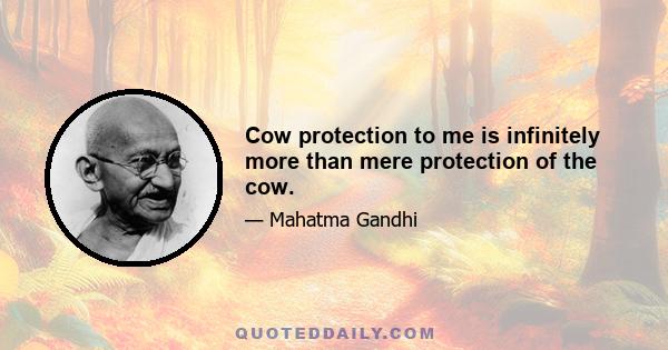 Cow protection to me is infinitely more than mere protection of the cow.