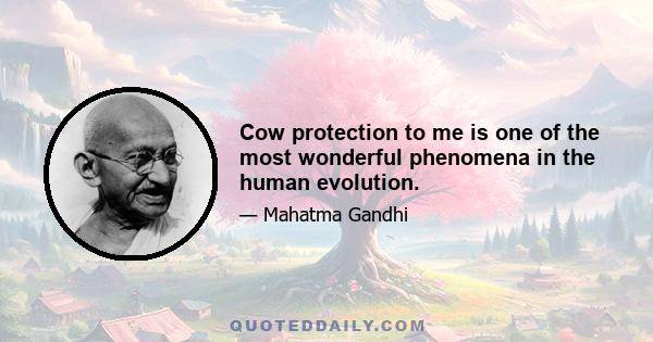 Cow protection to me is one of the most wonderful phenomena in the human evolution.