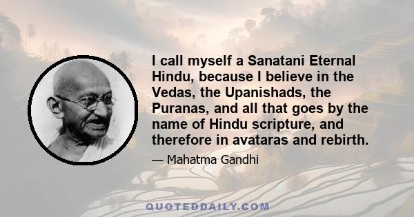 I call myself a Sanatani Eternal Hindu, because I believe in the Vedas, the Upanishads, the Puranas, and all that goes by the name of Hindu scripture, and therefore in avataras and rebirth.