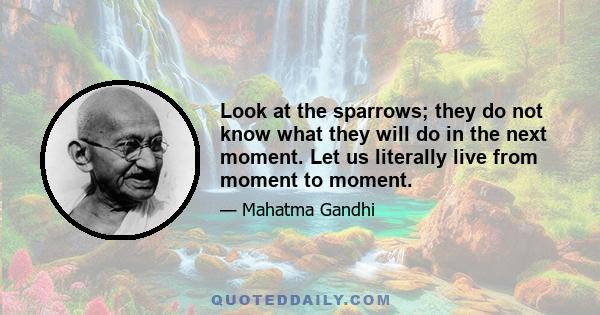 Look at the sparrows; they do not know what they will do in the next moment. Let us literally live from moment to moment.