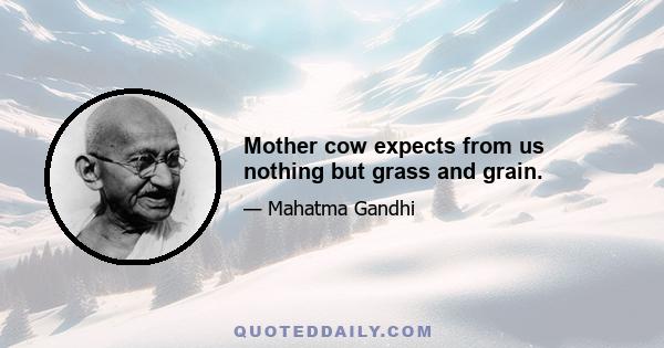 Mother cow expects from us nothing but grass and grain.