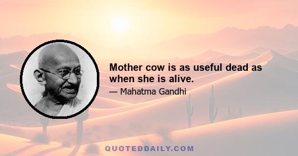 Mother cow is as useful dead as when she is alive.