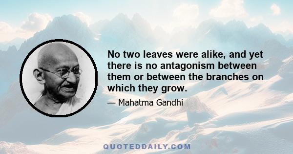 No two leaves were alike, and yet there is no antagonism between them or between the branches on which they grow.