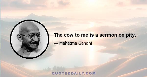 The cow to me is a sermon on pity.