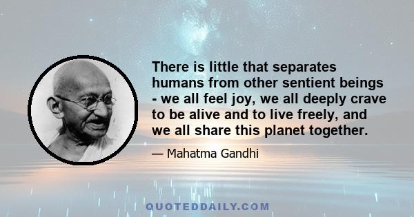 There is little that separates humans from other sentient beings - we all feel joy, we all deeply crave to be alive and to live freely, and we all share this planet together.