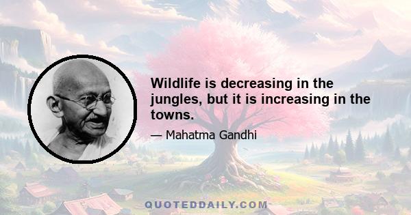 Wildlife is decreasing in the jungles, but it is increasing in the towns.