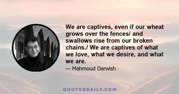 We are captives, even if our wheat grows over the fences/ and swallows rise from our broken chains./ We are captives of what we love, what we desire, and what we are.