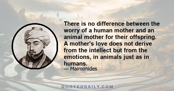 There is no difference between the worry of a human mother and an animal mother for their offspring. A mother's love does not derive from the intellect but from the emotions, in animals just as in humans.