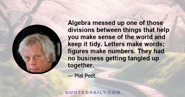 Algebra messed up one of those divisions between things that help you make sense of the world and keep it tidy. Letters make words; figures make numbers. They had no business getting tangled up together.