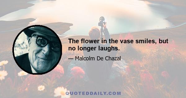 The flower in the vase smiles, but no longer laughs.