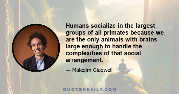 Humans socialize in the largest groups of all primates because we are the only animals with brains large enough to handle the complexities of that social arrangement.