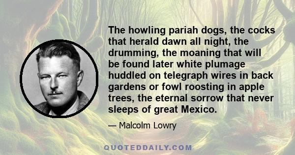 The howling pariah dogs, the cocks that herald dawn all night, the drumming, the moaning that will be found later white plumage huddled on telegraph wires in back gardens or fowl roosting in apple trees, the eternal