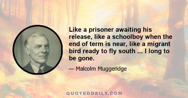 Like a prisoner awaiting his release, like a schoolboy when the end of term is near, like a migrant bird ready to fly south ... I long to be gone.