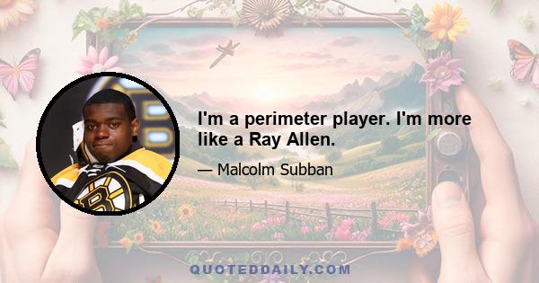 I'm a perimeter player. I'm more like a Ray Allen.