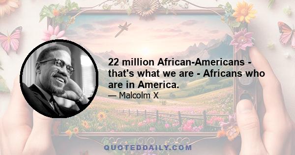 22 million African-Americans - that's what we are - Africans who are in America.