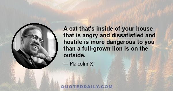 A cat that's inside of your house that is angry and dissatisfied and hostile is more dangerous to you than a full-grown lion is on the outside.