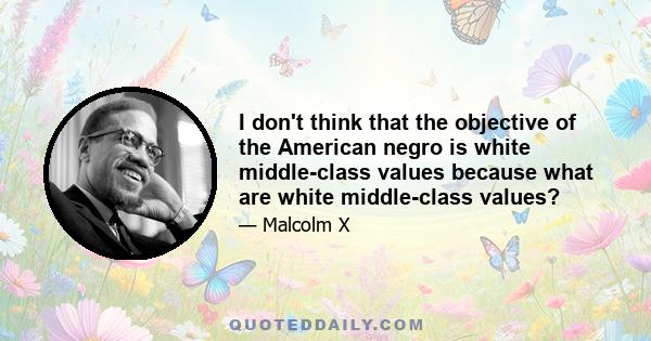 I don't think that the objective of the American negro is white middle-class values because what are white middle-class values?