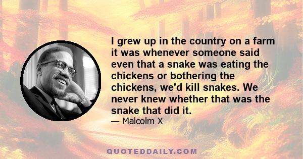 I grew up in the country on a farm it was whenever someone said even that a snake was eating the chickens or bothering the chickens, we'd kill snakes. We never knew whether that was the snake that did it.