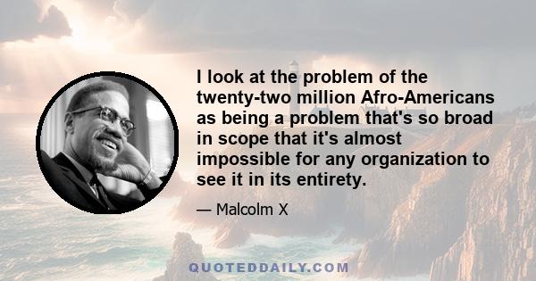 I look at the problem of the twenty-two million Afro-Americans as being a problem that's so broad in scope that it's almost impossible for any organization to see it in its entirety.