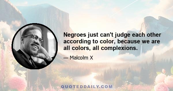 Negroes just can't judge each other according to color, because we are all colors, all complexions.