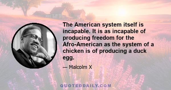 The American system itself is incapable. It is as incapable of producing freedom for the Afro-American as the system of a chicken is of producing a duck egg.