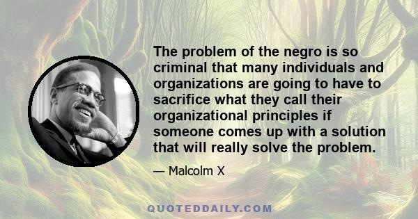 The problem of the negro is so criminal that many individuals and organizations are going to have to sacrifice what they call their organizational principles if someone comes up with a solution that will really solve