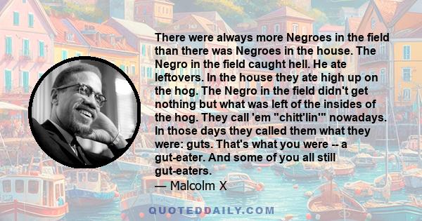 There were always more Negroes in the field than there was Negroes in the house. The Negro in the field caught hell. He ate leftovers. In the house they ate high up on the hog. The Negro in the field didn't get nothing