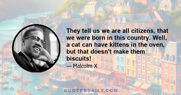 They tell us we are all citizens, that we were born in this country. Well, a cat can have kittens in the oven, but that doesn't make them biscuits!