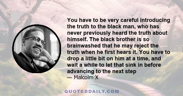 You have to be very careful introducing the truth to the black man, who has never previously heard the truth about himself. The black brother is so brainwashed that he may reject the truth when he first hears it. You