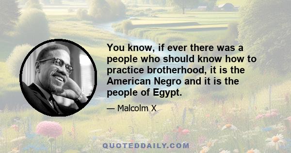 You know, if ever there was a people who should know how to practice brotherhood, it is the American Negro and it is the people of Egypt.