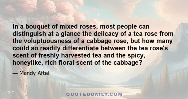 In a bouquet of mixed roses, most people can distinguish at a glance the delicacy of a tea rose from the voluptuousness of a cabbage rose, but how many could so readily differentiate between the tea rose's scent of