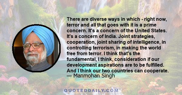 There are diverse ways in which - right now, terror and all that goes with it is a prime concern. It's a concern of the United States. It's a concern of India. Joint strategies, cooperation, joint sharing of