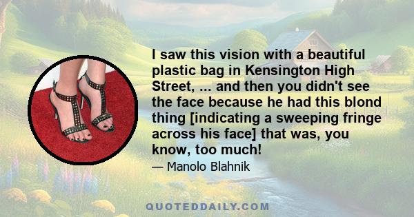 I saw this vision with a beautiful plastic bag in Kensington High Street, ... and then you didn't see the face because he had this blond thing [indicating a sweeping fringe across his face] that was, you know, too much!