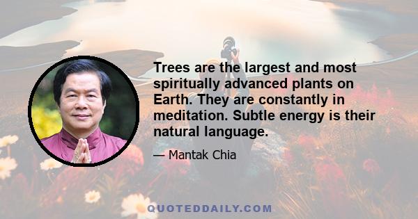 Trees are the largest and most spiritually advanced plants on Earth. They are constantly in meditation. Subtle energy is their natural language.