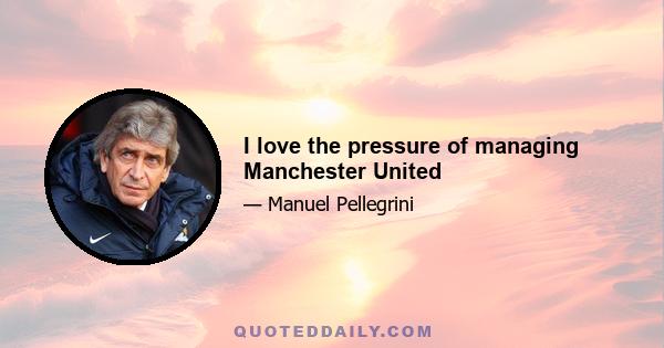 I love the pressure of managing Manchester United