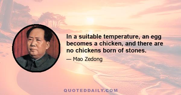 In a suitable temperature, an egg becomes a chicken, and there are no chickens born of stones.