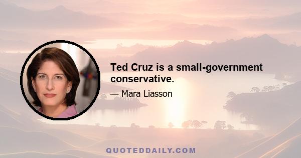 Ted Cruz is a small-government conservative.