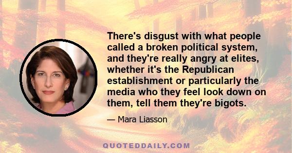 There's disgust with what people called a broken political system, and they're really angry at elites, whether it's the Republican establishment or particularly the media who they feel look down on them, tell them