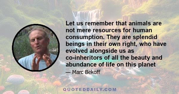 Let us remember that animals are not mere resources for human consumption. They are splendid beings in their own right, who have evolved alongside us as co-inheritors of all the beauty and abundance of life on this