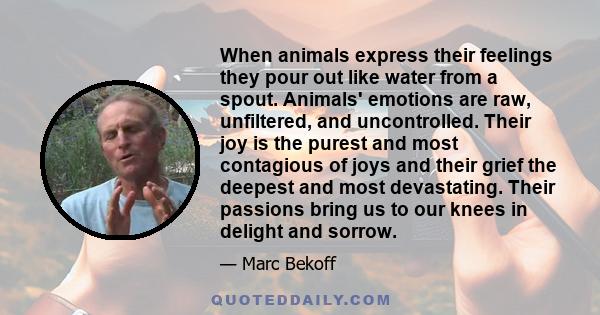 When animals express their feelings they pour out like water from a spout. Animals' emotions are raw, unfiltered, and uncontrolled. Their joy is the purest and most contagious of joys and their grief the deepest and