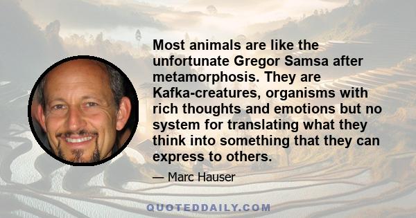 Most animals are like the unfortunate Gregor Samsa after metamorphosis. They are Kafka-creatures, organisms with rich thoughts and emotions but no system for translating what they think into something that they can